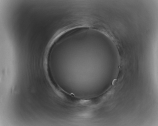 X0000114100055200910051453