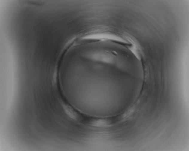 X0000114100058200910051453