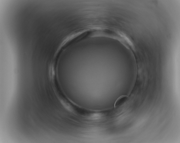 X0000114100059200910051453