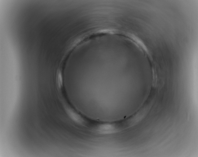 X0000114100061200910051453