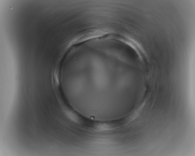 X0000114100062200910051453