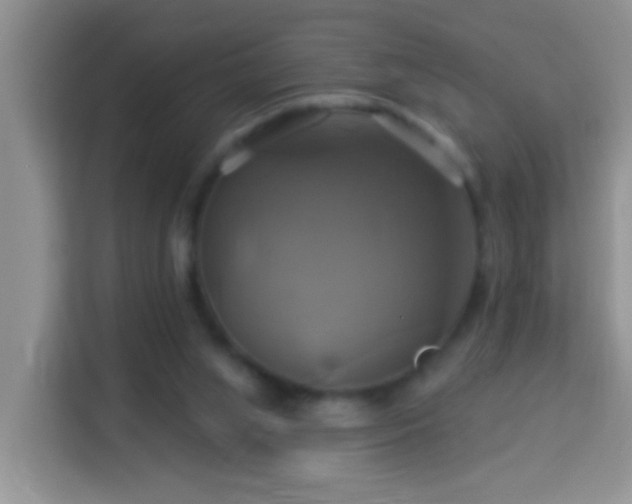 X0000114100063200910051453