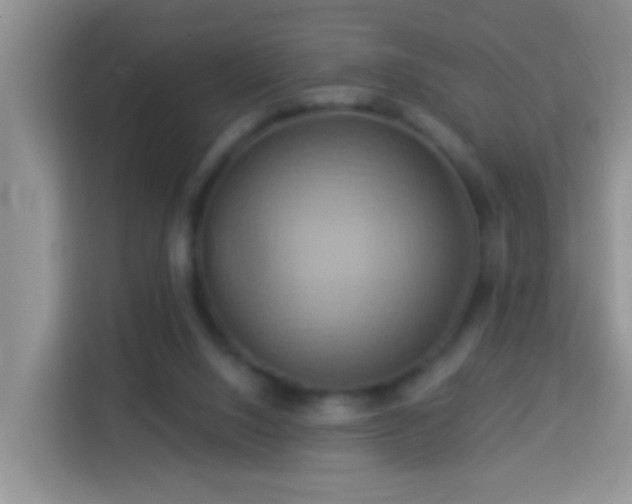 X0000114100064200910051453