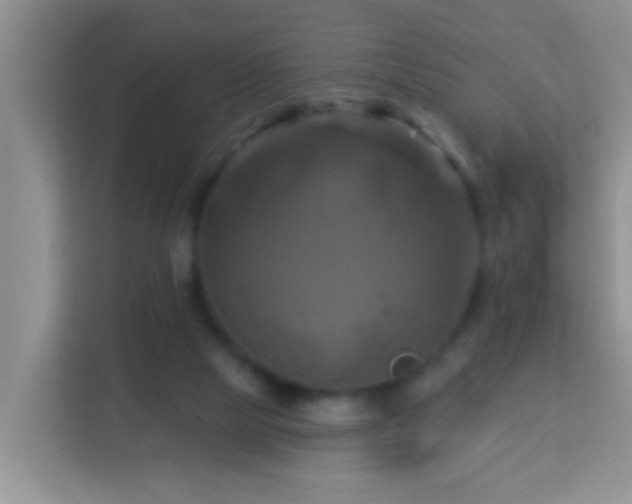 X0000114100065200910051453