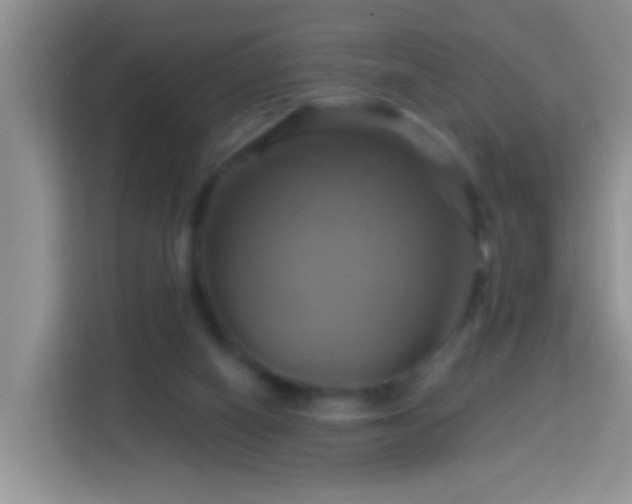 X0000114100066200910051453