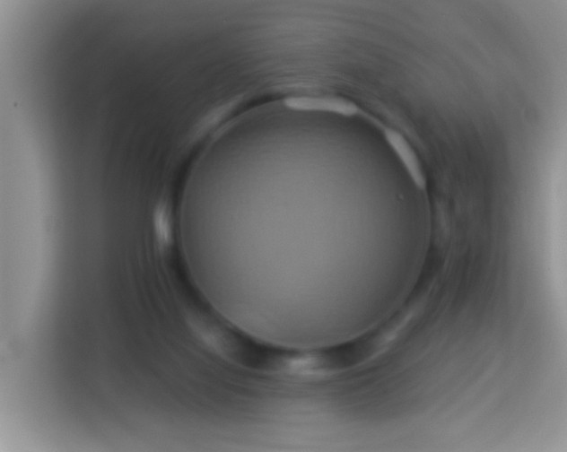 X0000114100068200910051453