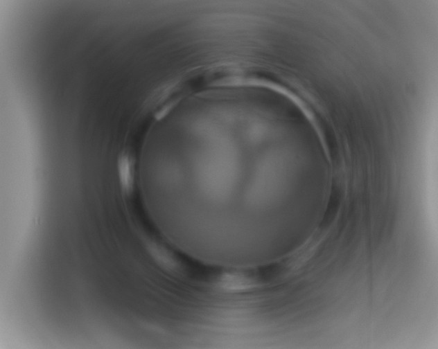 X0000114100070200910051453