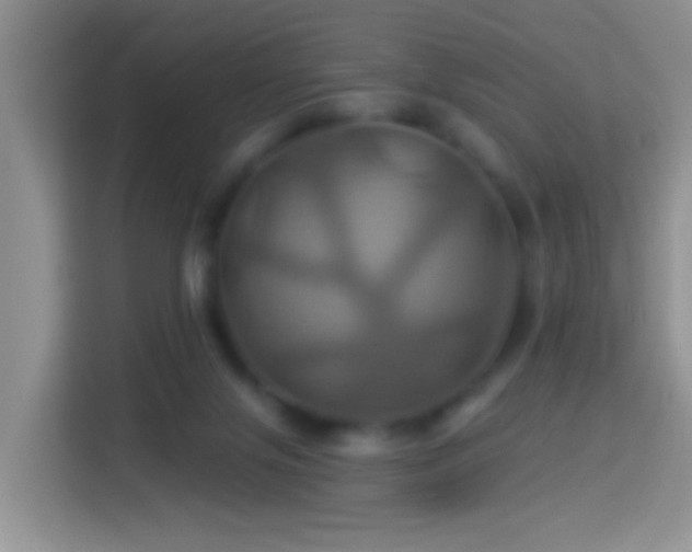 X0000114100071200910051453