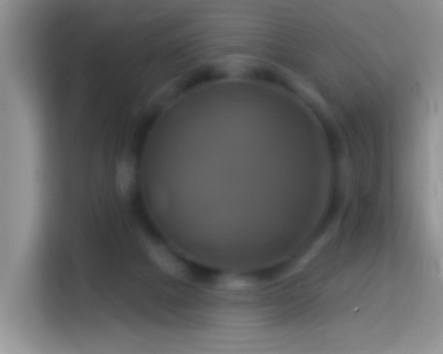 X0000114100073200910051453