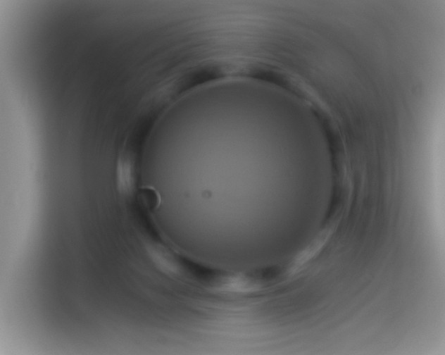 X0000114100074200910051453