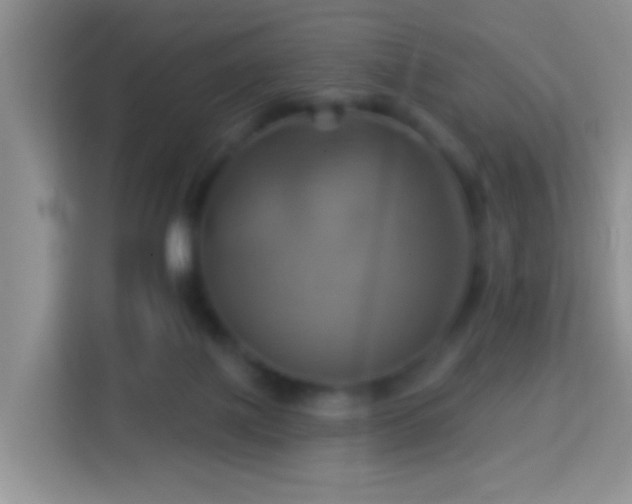 X0000114100075200910051453