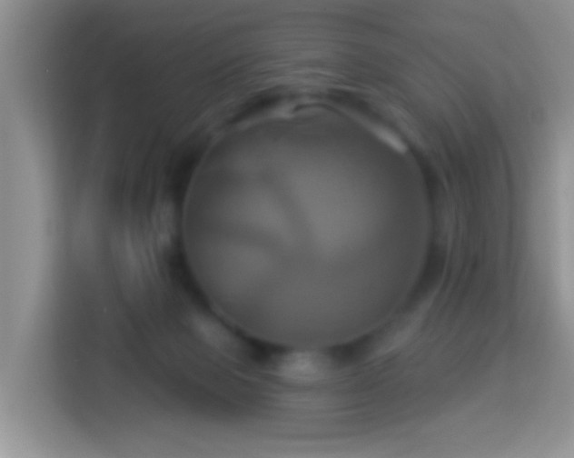 X0000114100077200910051453