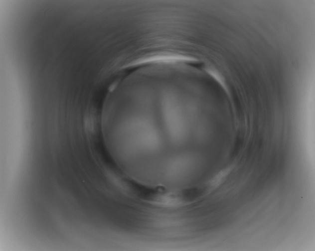 X0000114100078200910051453