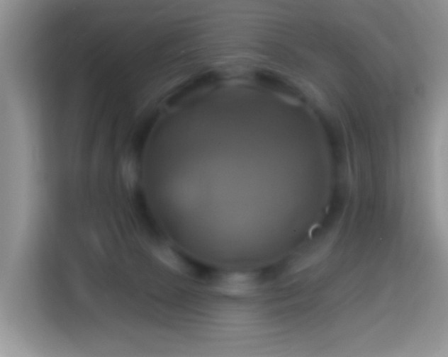 X0000114100081200910051453