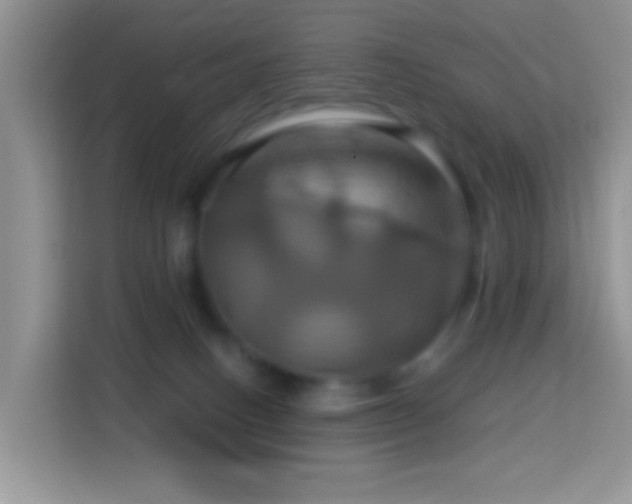 X0000114100082200910051453