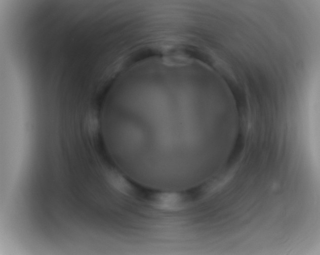 X0000114100085200910051454