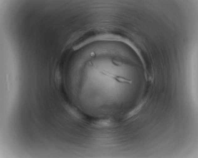 X0000114100086200910051454