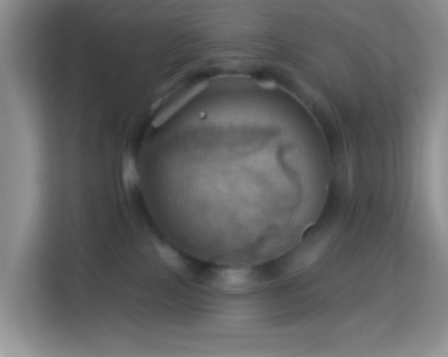 X0000114100089200910051454