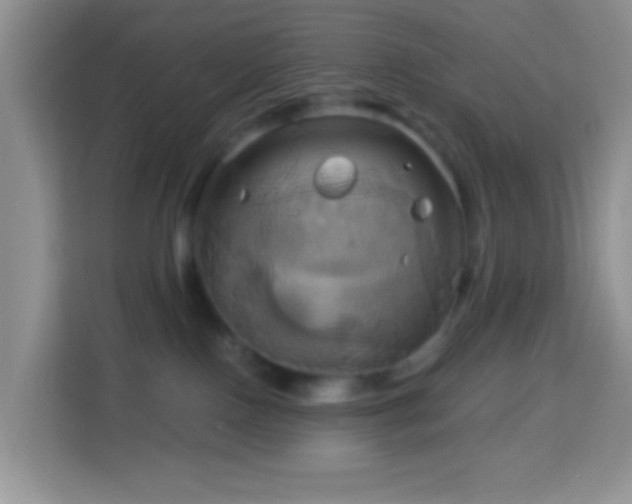 X0000114100090200910051454