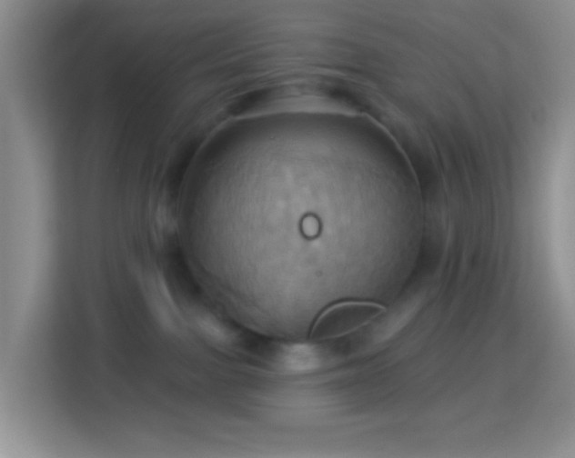 X0000114100091200910051454