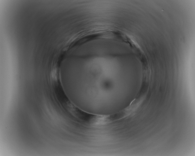 X0000114100093200910051454