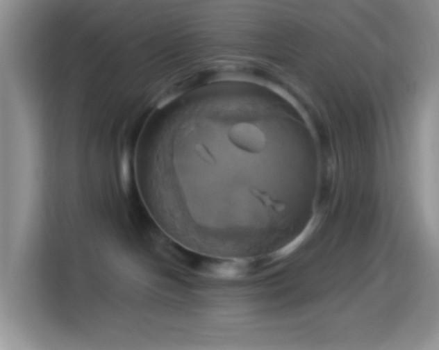 X0000114100094200910051454