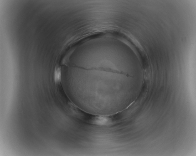 X0000114100095200910051454