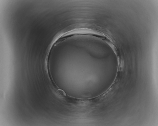 X0000114100099200910051453