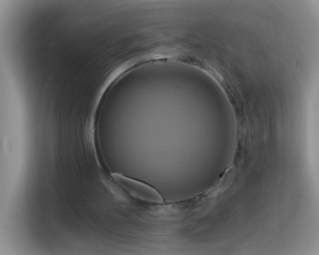 X0000114100100200910051453