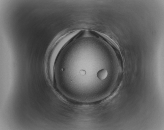 X0000114100101200910051453