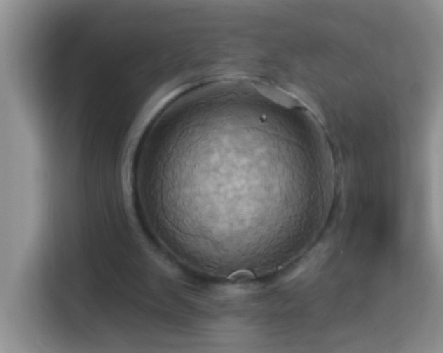 X0000114100103200910051453