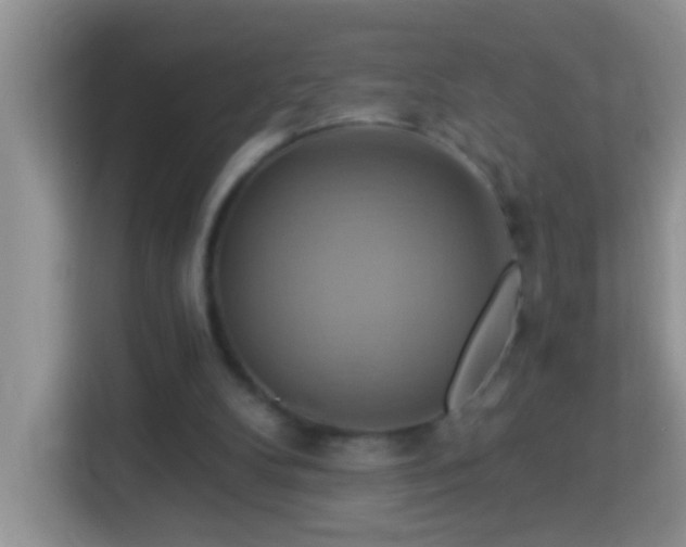 X0000114100104200910051453