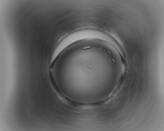 X0000114100105200910051453