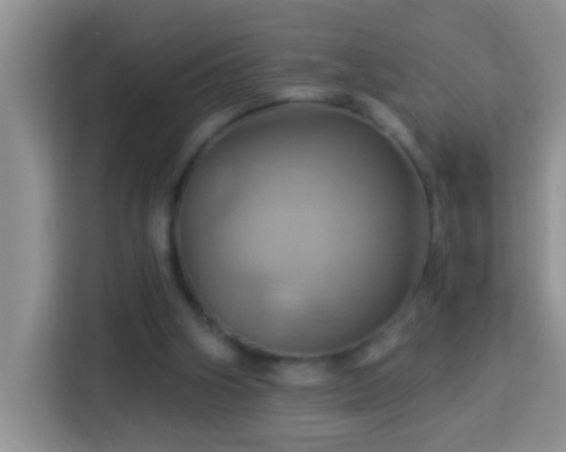 X0000114100106200910051453