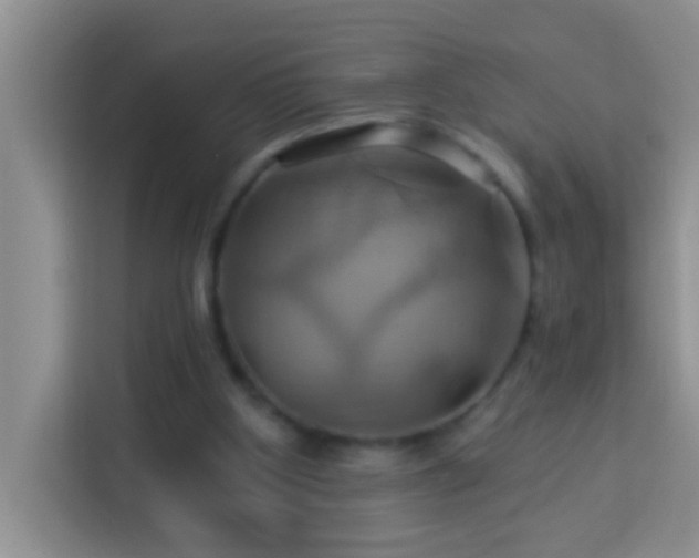 X0000114100107200910051453