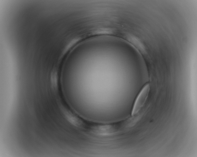 X0000114100108200910051453