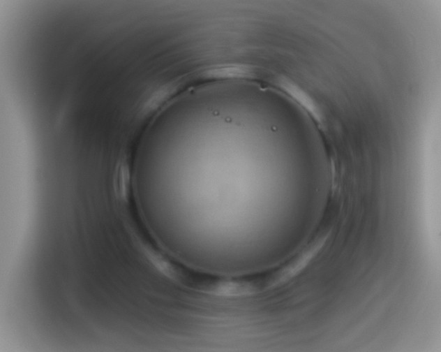 X0000114100109200910051453