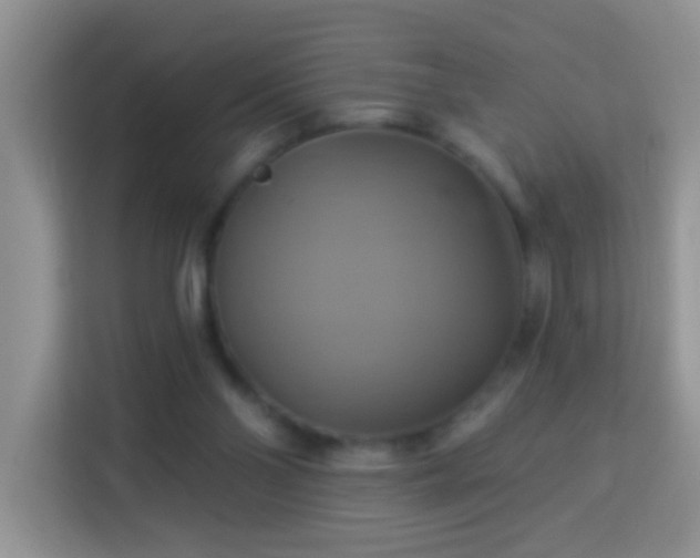 X0000114100110200910051453