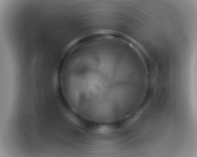 X0000114100111200910051453