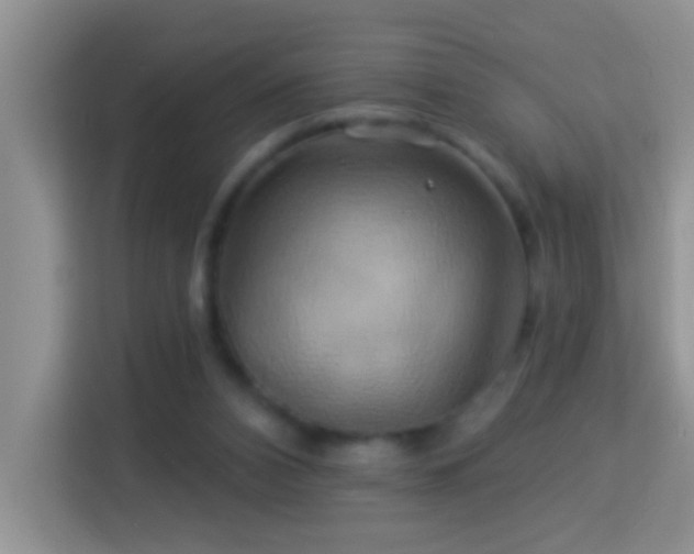 X0000114100112200910051453