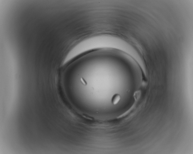 X0000114100113200910051453