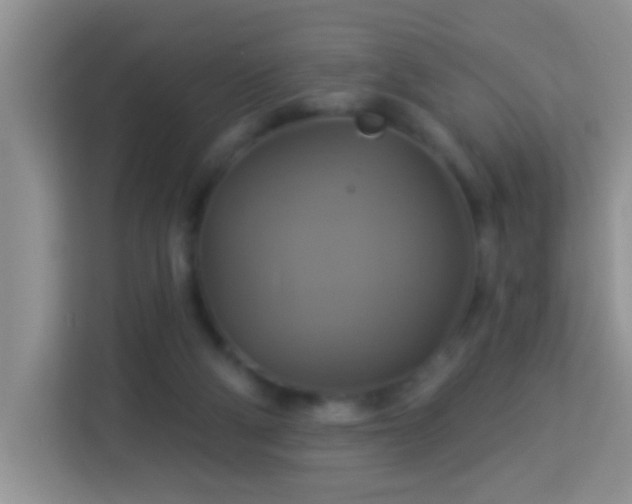 X0000114100114200910051453