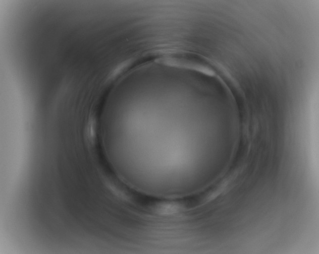 X0000114100115200910051453