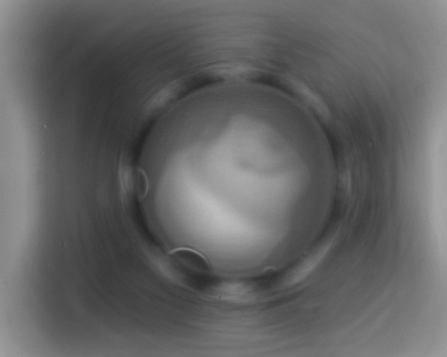 X0000114100117200910051453