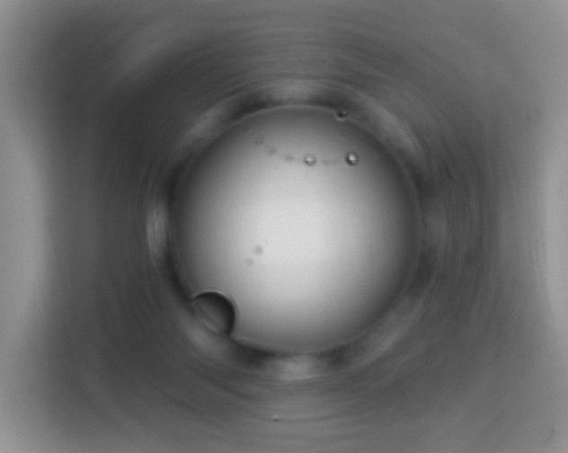 X0000114100118200910051453