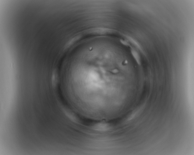 X0000114100119200910051453