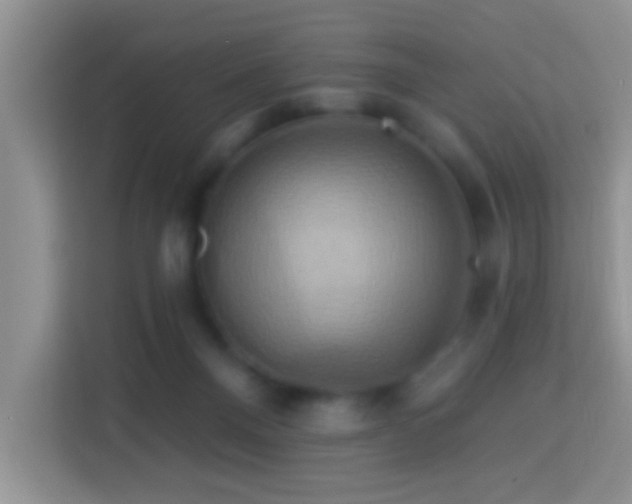 X0000114100120200910051453