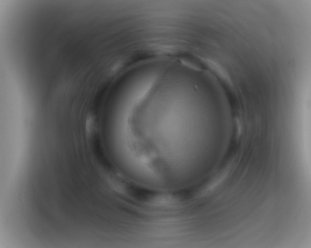 X0000114100123200910051453