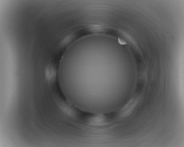 X0000114100124200910051453