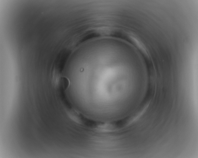 X0000114100125200910051453